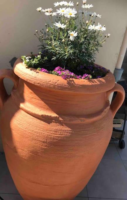 Apartment T3 Individuel Avec Acces Piscine Et Jardin Prives