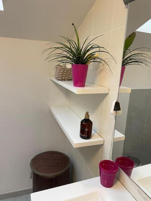 Apartment T3 Individuel Avec Acces Piscine Et Jardin Prives